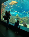 Toronto With Kids: Digital Guide (2026 Edition)